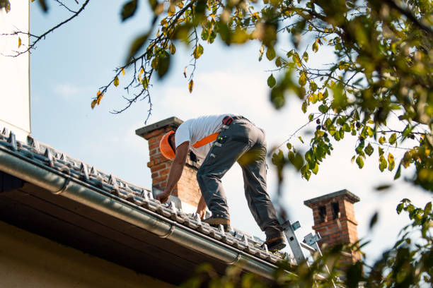 Best Metal Roofing Contractor  in Birch Bay, WA