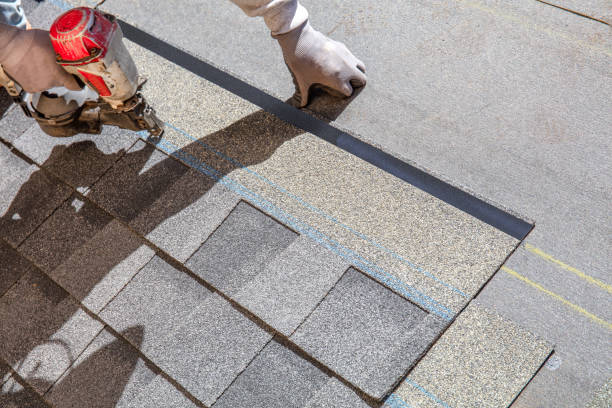 Roof Waterproofing Services in Birch Bay, WA